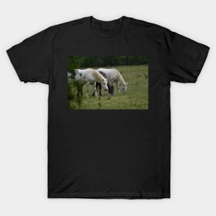 Wild Horses T-Shirt